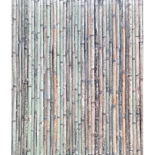 Bamboo for Fall Ceiling