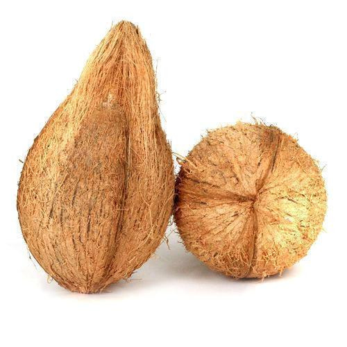 Fresh Semi Husked Coconut