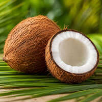 Mature Husked Coconut