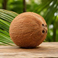 High Quality Husked Coconut