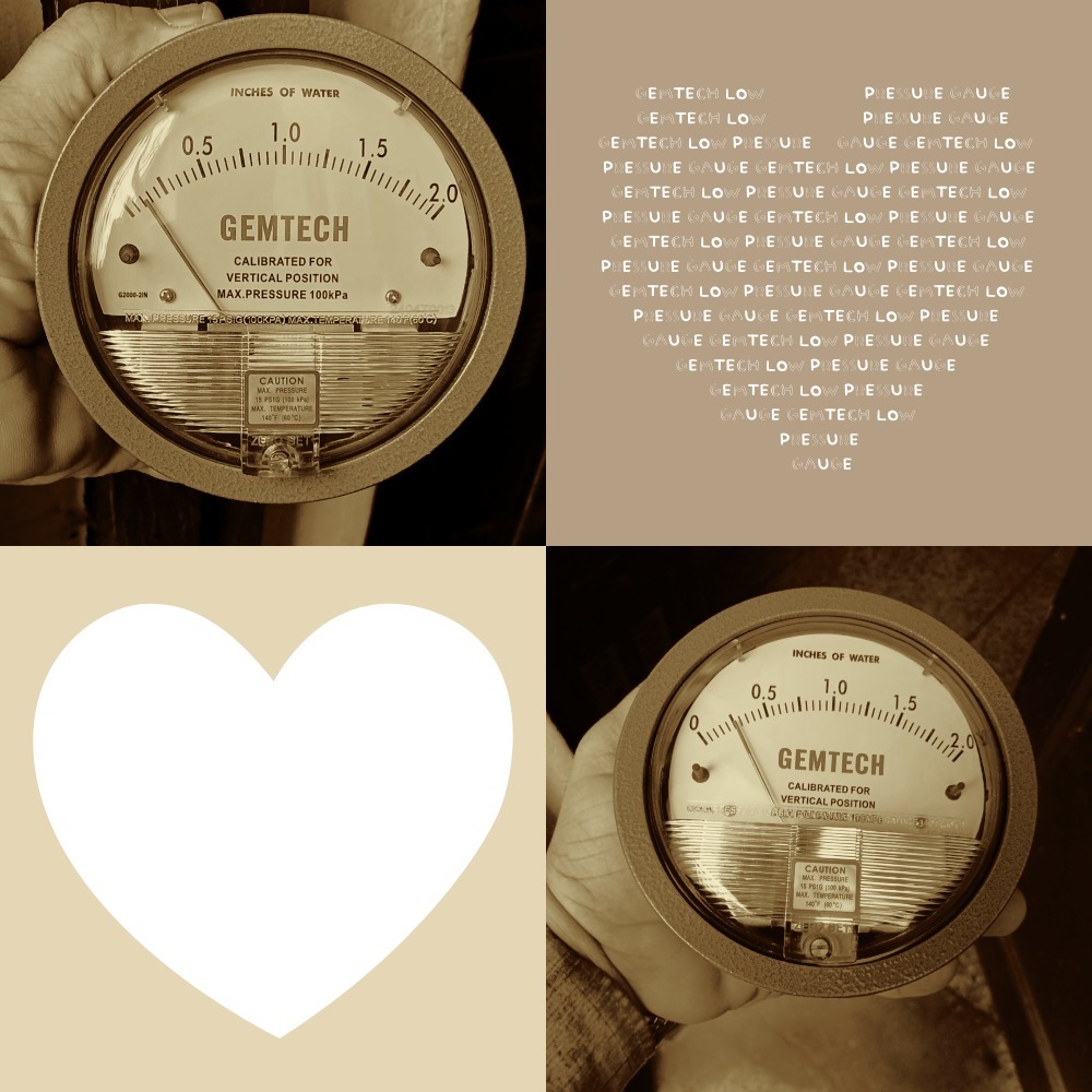 GEMTECH DIFFERENTIAL PRESSURE GAUGE Trusted By Across India