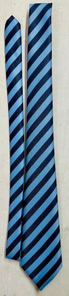 School Neck Ties