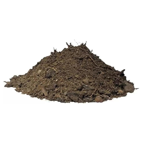 Raw Manure Cow Dung