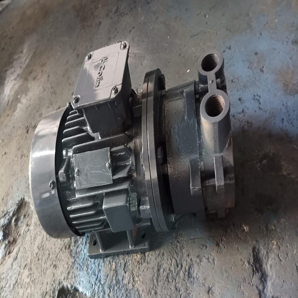 Monoblock Water Ring Vacuum Pump - Ci + Ss, 3 Hp, 720 Mmhg Vacuum | Compact, Corrosion Resistant, Low Maintenance