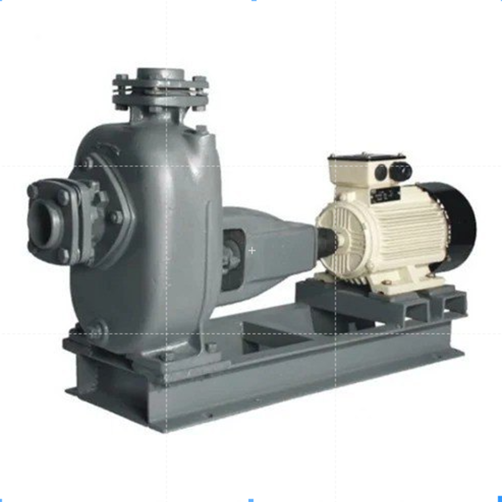 Mud Pumps With Mechanical Seals - Capacity: 50 M3/Hr