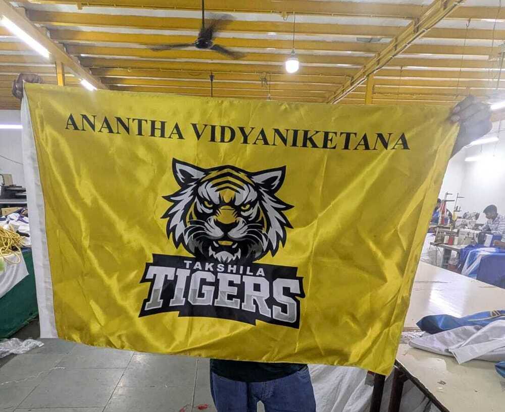 University Display Flag