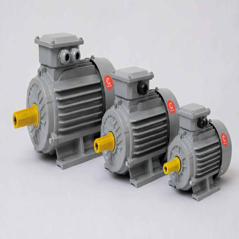 Crompton 3 Phase Induction Motor - Features: Durable