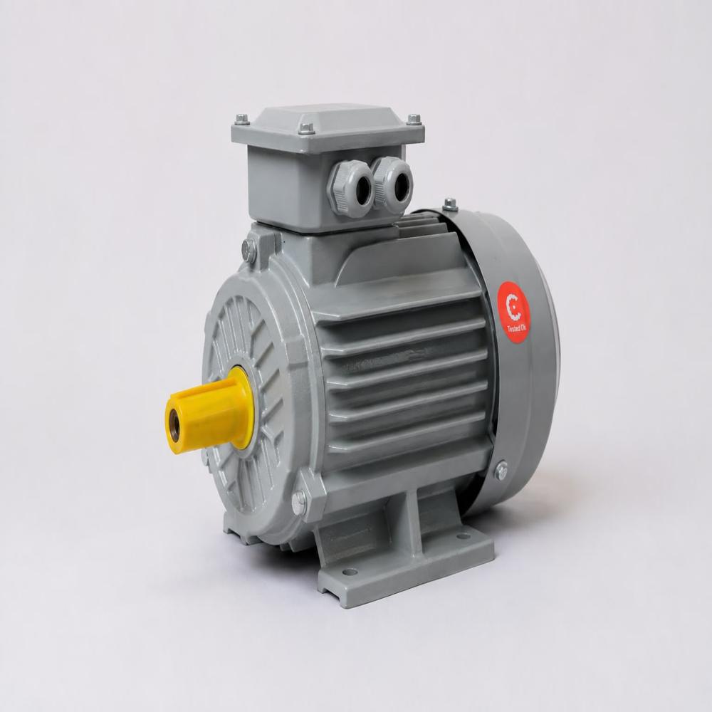 ENNODRIVE 3 PHASE INDUCTION & BRAKE MOTOR