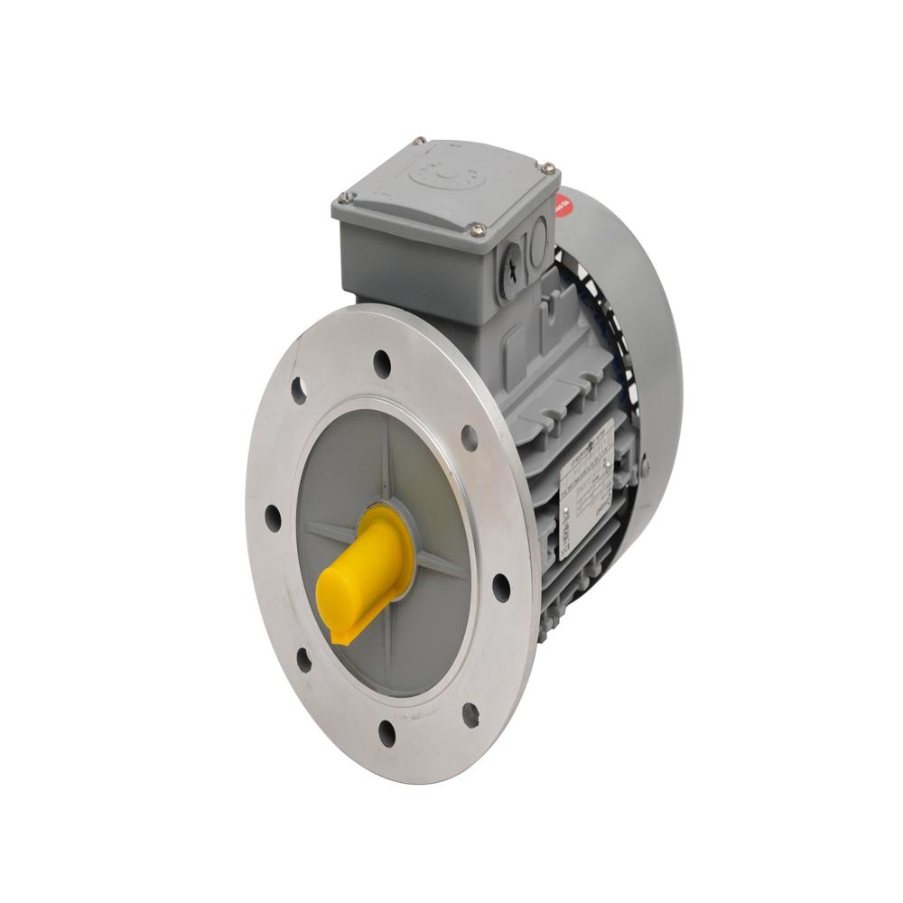 Crompton 3 Phase Induction Motor - Features: Durable