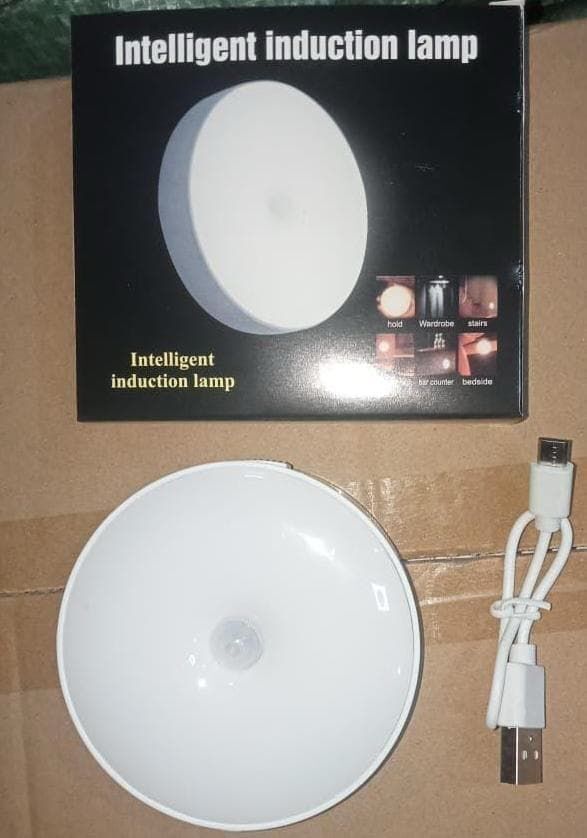 Led Motion Sensor Light
