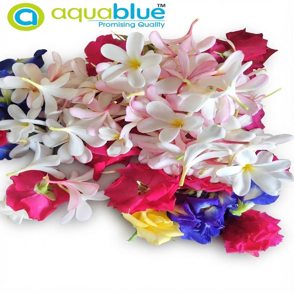 Silicagel Blue Flower Drying
