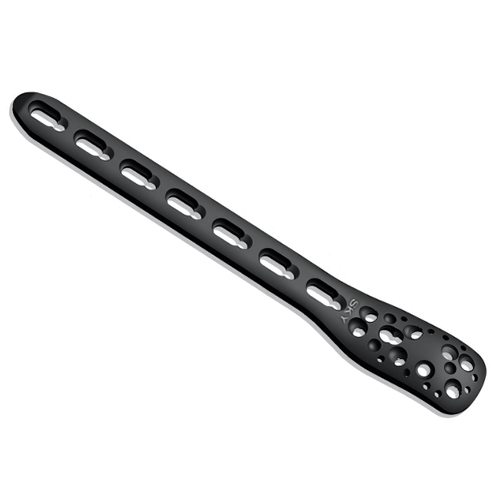 Philos Long Plate