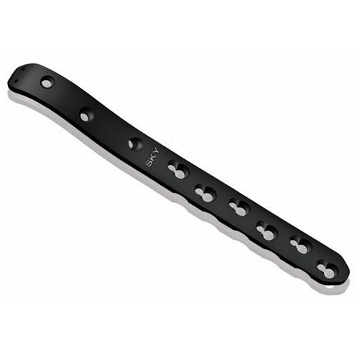 Proximal Femoral Plate