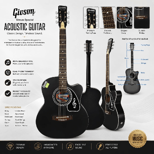 Givson Acoustic Guitar