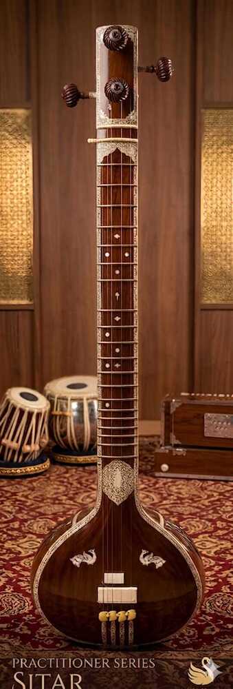 Tanpura Instrument