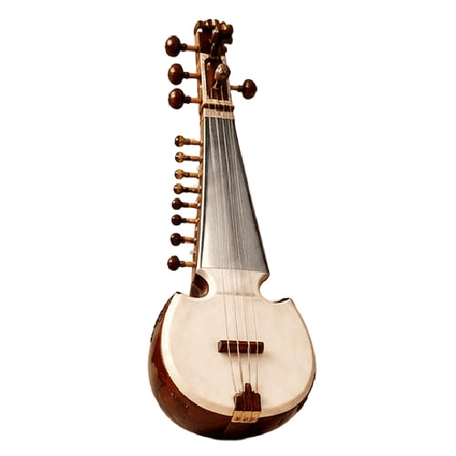 Sarod Instrument