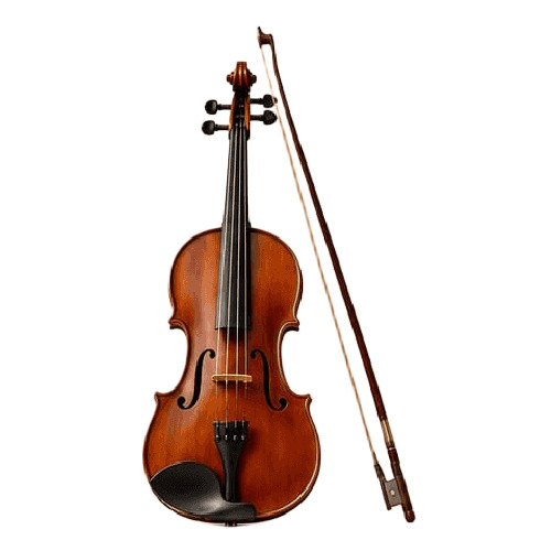 Violin Instrument