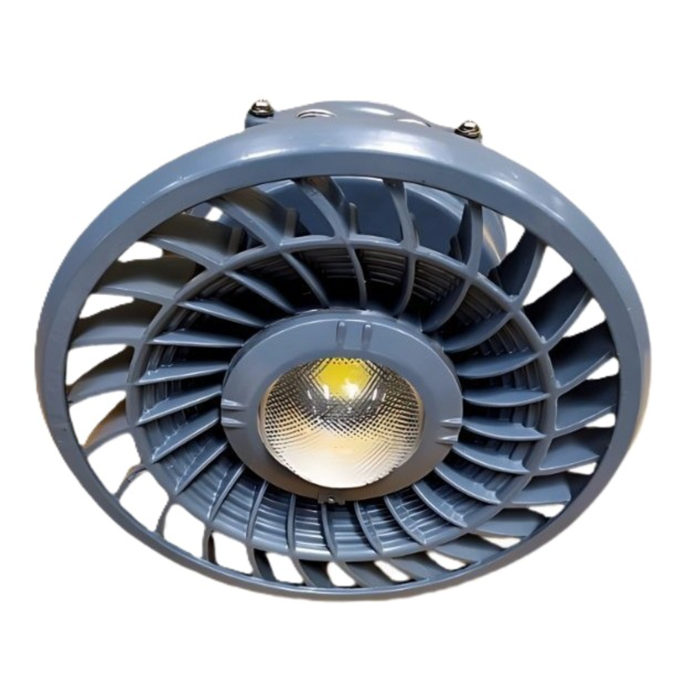 Flams Proof Flood Light