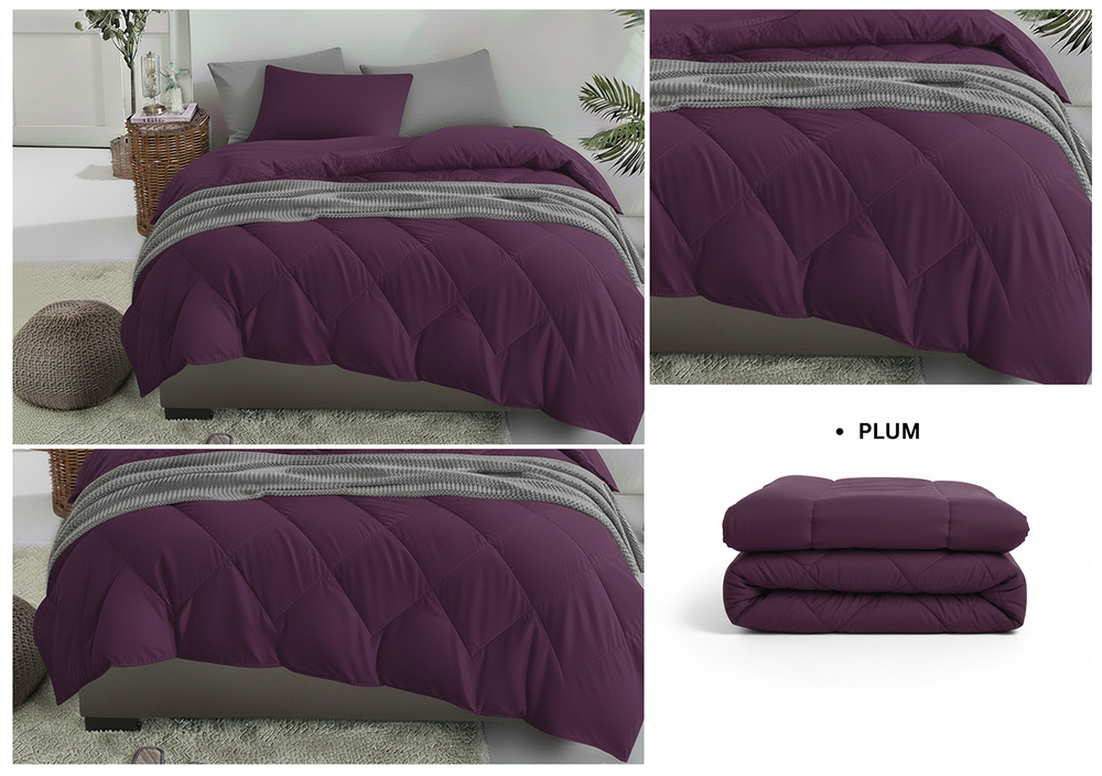 Plum Solid Same Comforter