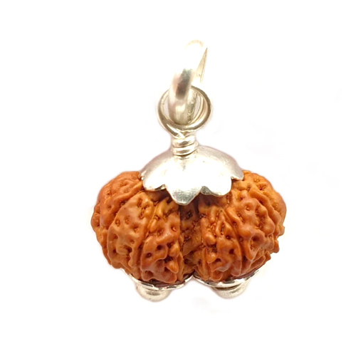07 Natural Garbha Gauri Rudraksha