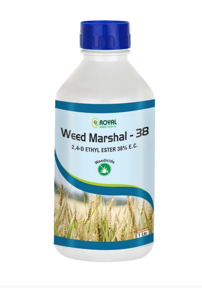Marshal - 38 24-D ETHYL ESTER 38% Weedicide