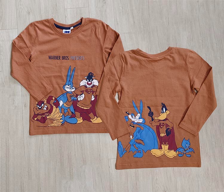 B16729 | Boys Long Sleeve Printed T-Shirt