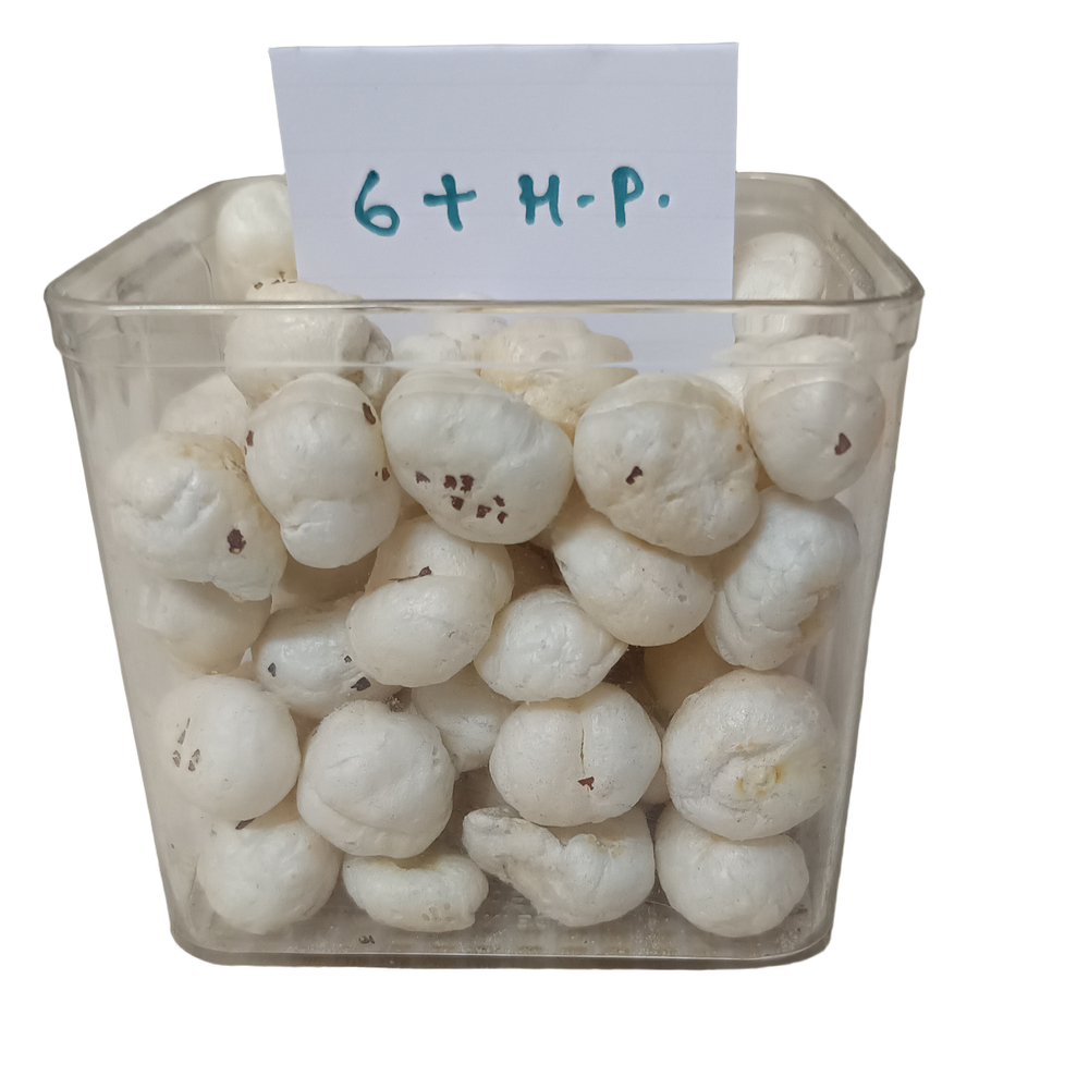 Makhana 6 Plus HP
