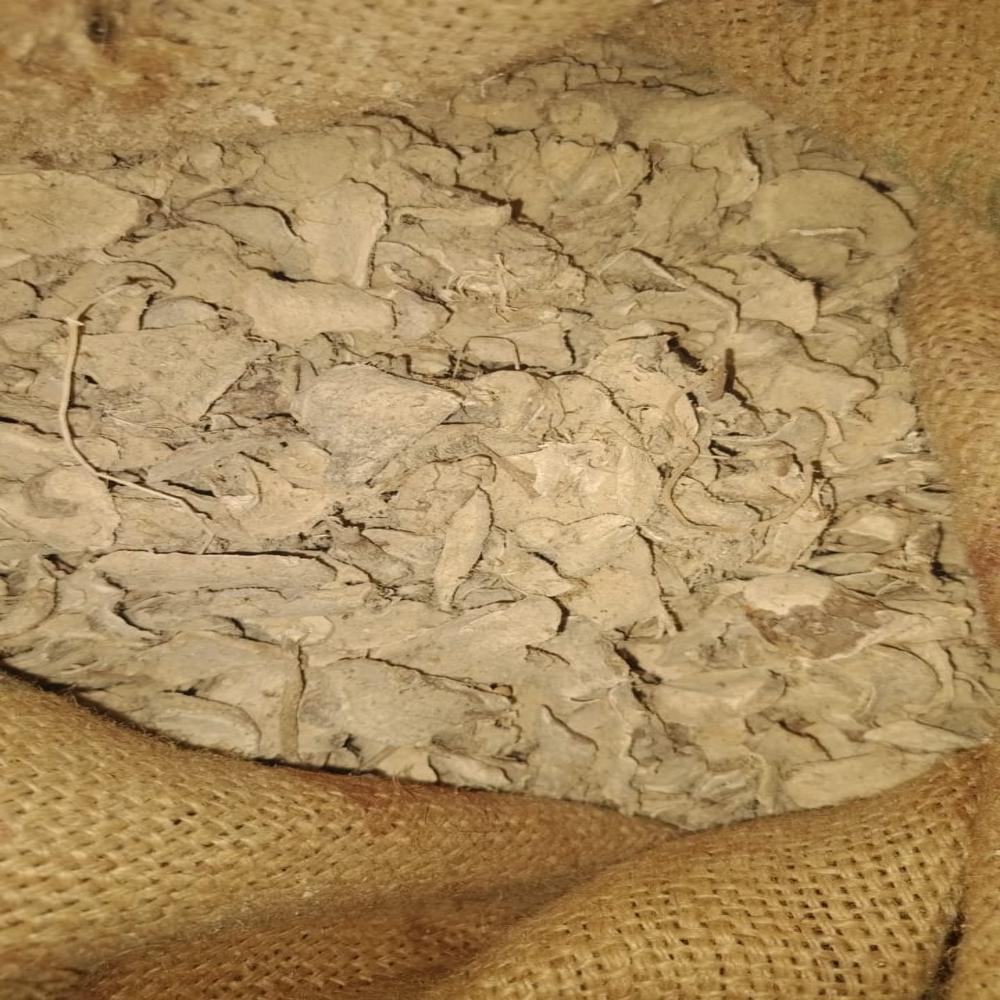 White Turmeric