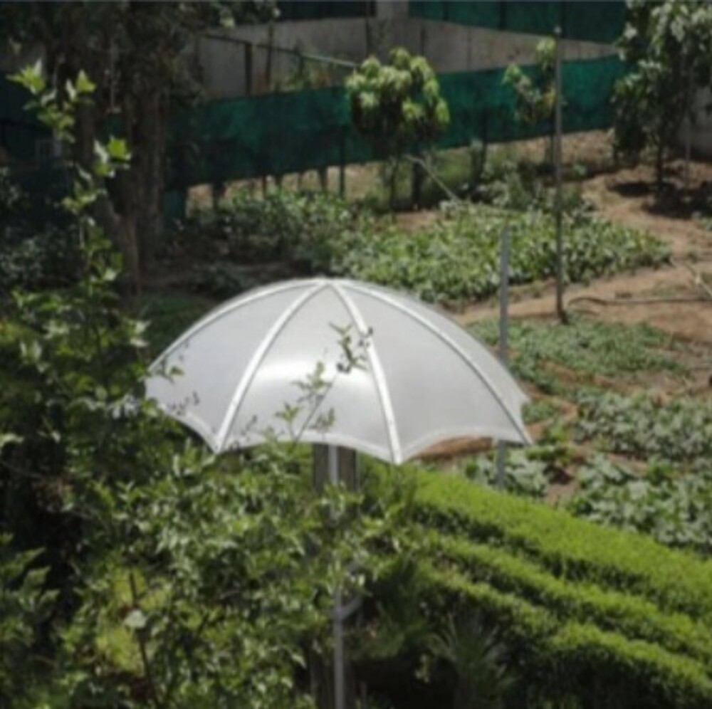 Garden Polycarbonate Sheet - Features: High Quality