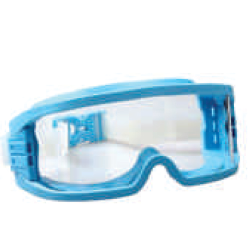 Autoclave Goggles
