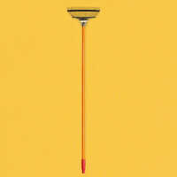 Garden Broom