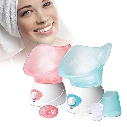 Benice Facial Steamer