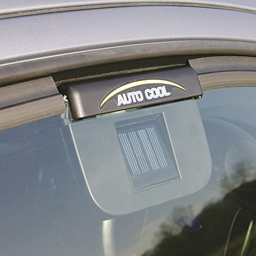 Car Auto Cool