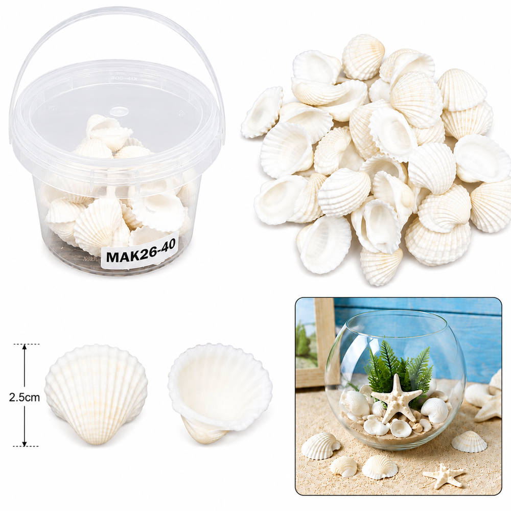 Natural Seashell Mix