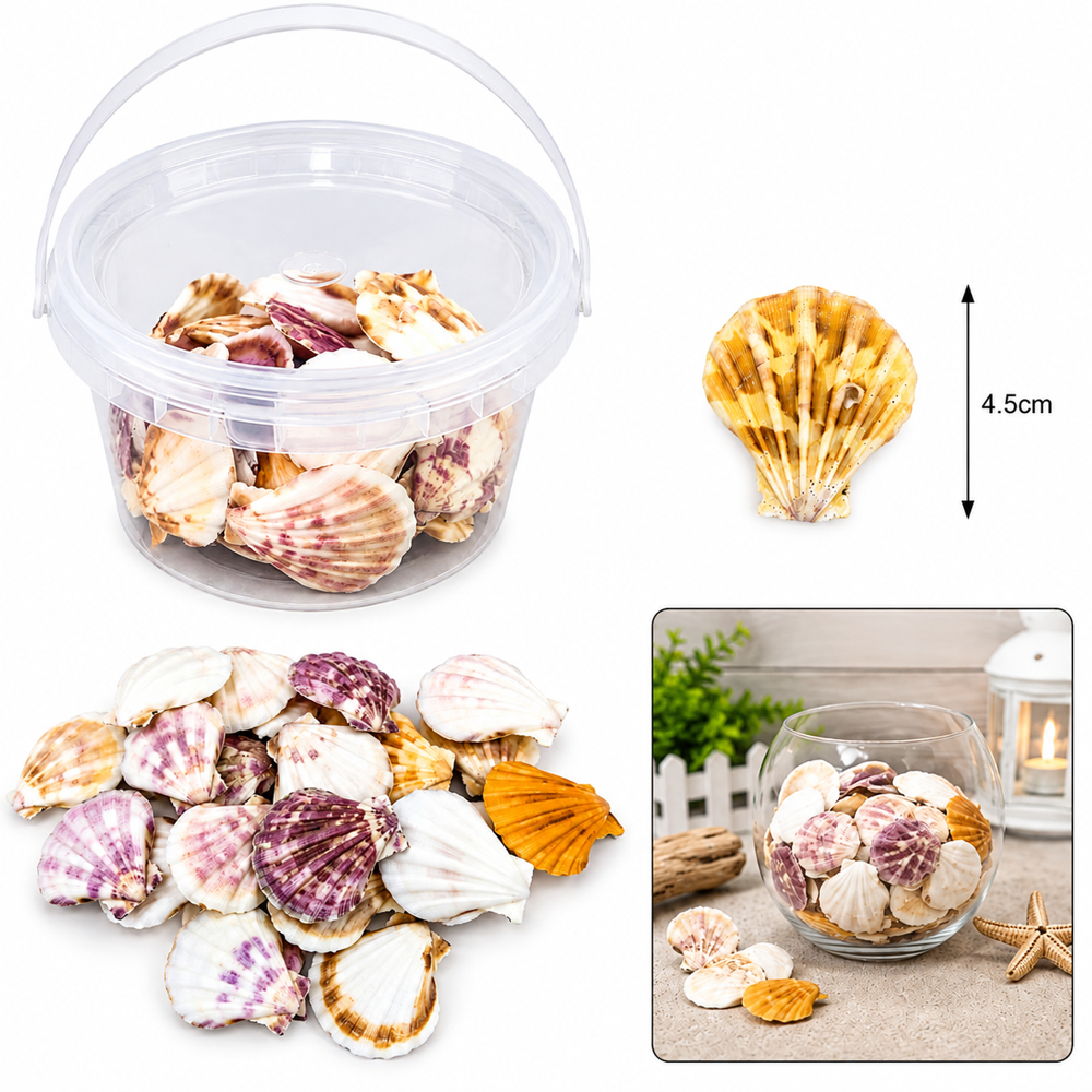 Natural Seashell Mix