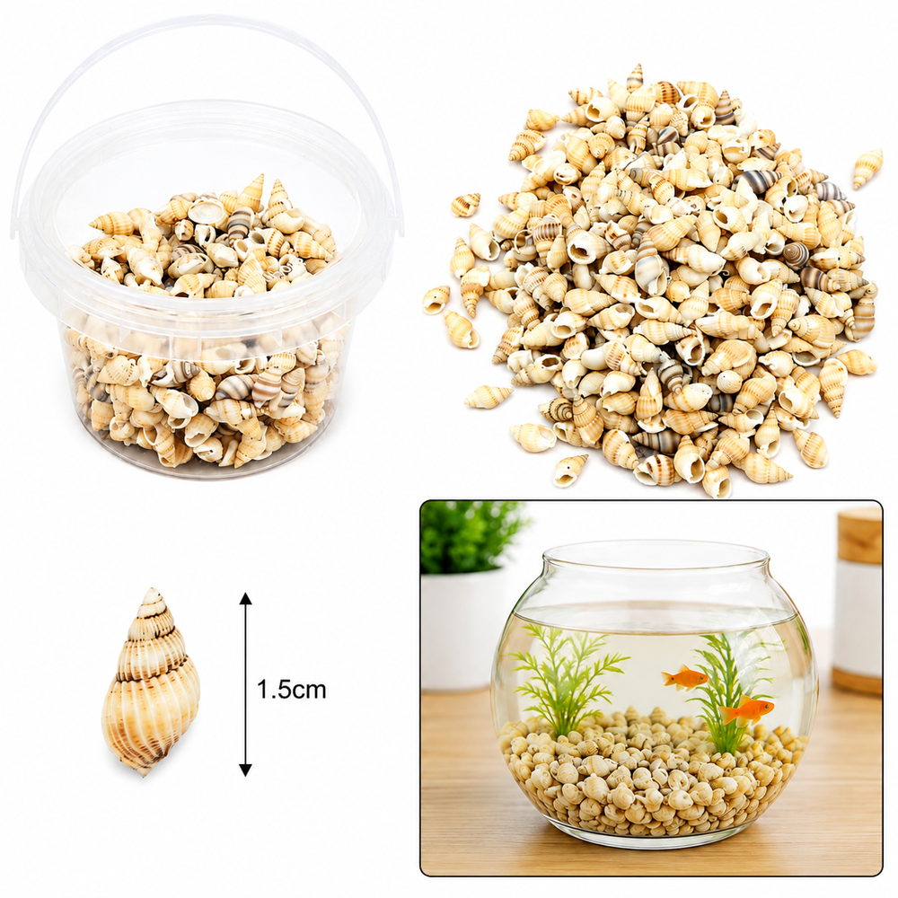 Natural Seashell Mix