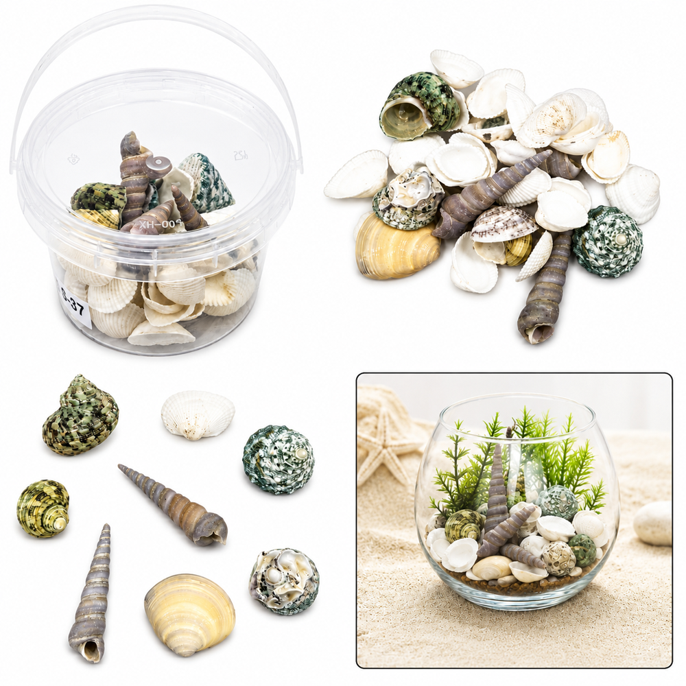 Natural Seashell Mix