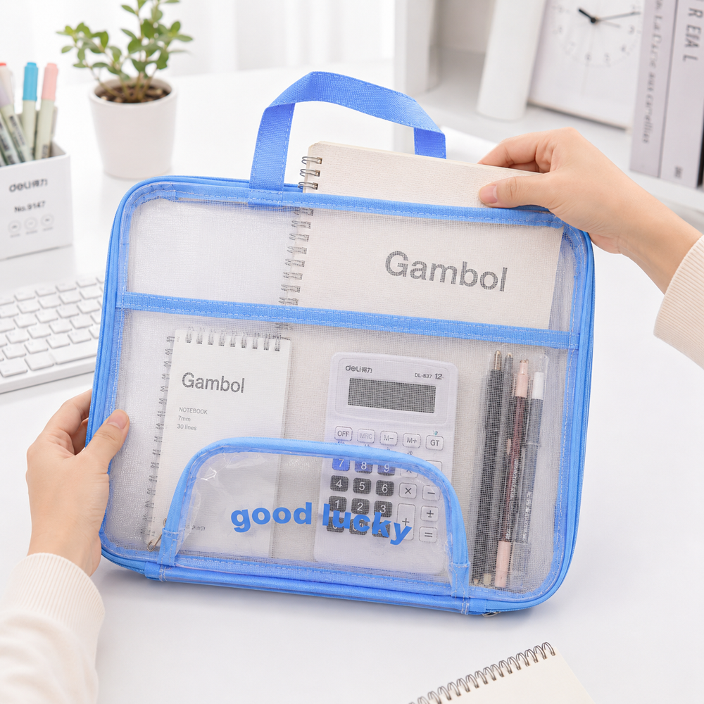 Transparent Mesh Storage Bag