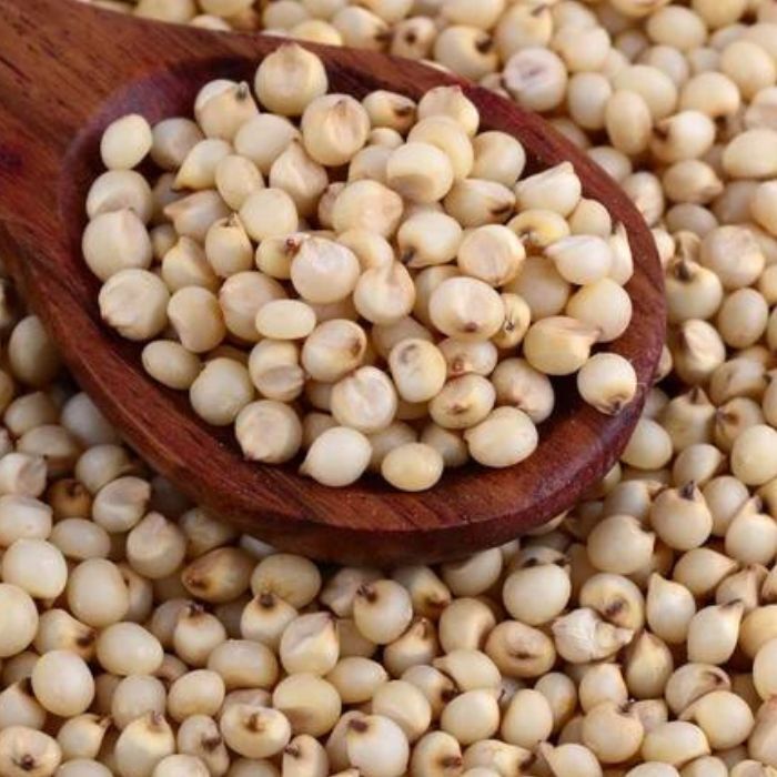 Sorghum Grain