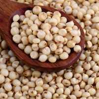 Sorghum Grain