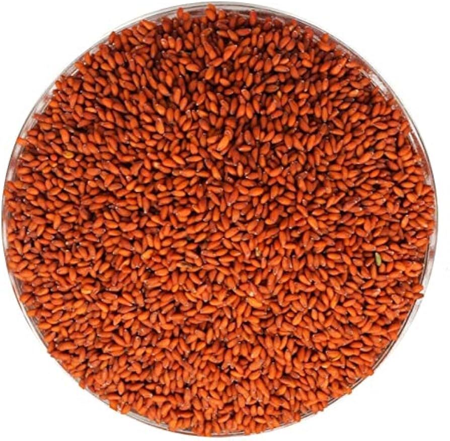 Halim Seeds
