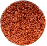 Halim Seeds