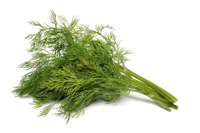 Dill Seed