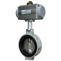 Polished Aluminum Pneumatic Actuator Butterfly Valve
