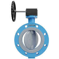 FEP-PFA Lined Double Flanged Butterfly Valve