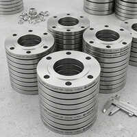 MS Flanges