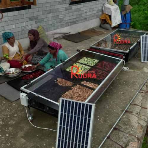 Solar Banana Dryer 