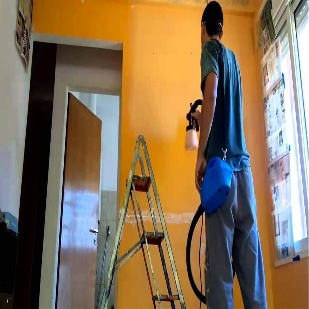 Paint Zoom Sprayer