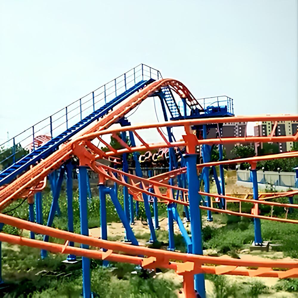 Family Roller Coster