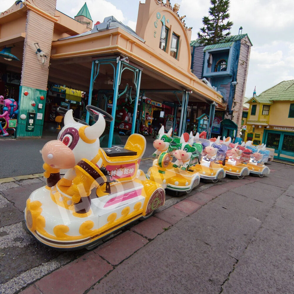 Amusement Park Adult Small Train Rides